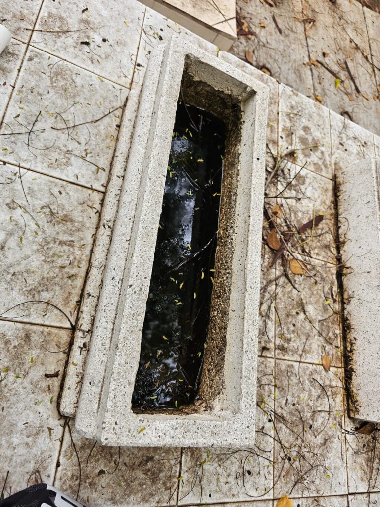 Panteones, la ‘incubadora’ de dengue en Sinaloa: UAS