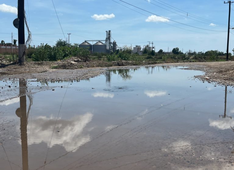 Emergencia sanitaria en Navolato por desborde de drenajes