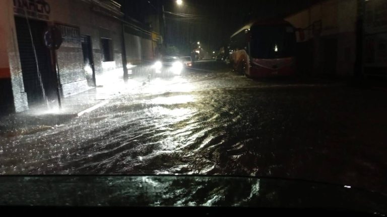 Dejan lluvias charcas, árboles caídos y apagones eléctricos