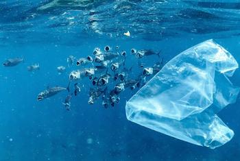 Los residuos plásticos se triplicarán para 2060