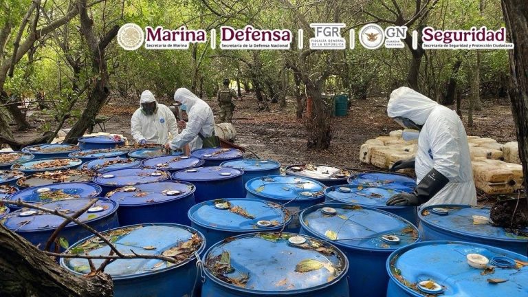 Aseguran 12 toneladas de metanfetamina en Nayarit