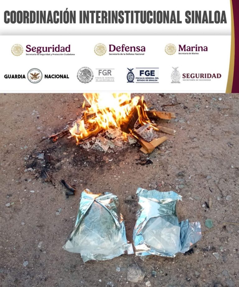 Incautan en carro de paquetería medio kilogramo de mariguana