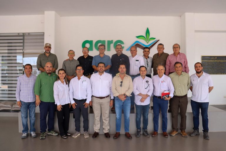 Piden agricultores planeación y apoyos para el campo sinaloense