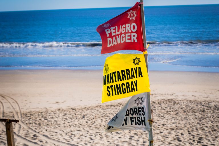 Localizan cuerpo sin vida en embarcadero de la Isla de la Piedra