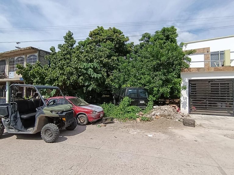 Va Escuinapa contra baldíos