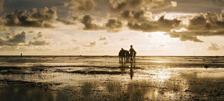 Enfriamiento de La Niña no detendrá el calentamiento global