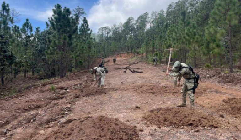 Aseguran pista clandestina en Choix