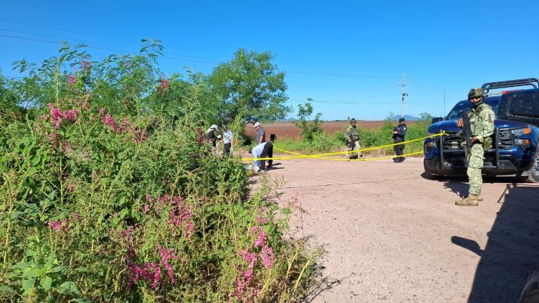 Asesinados a balazos son localizados 3 hombres en Mocorito