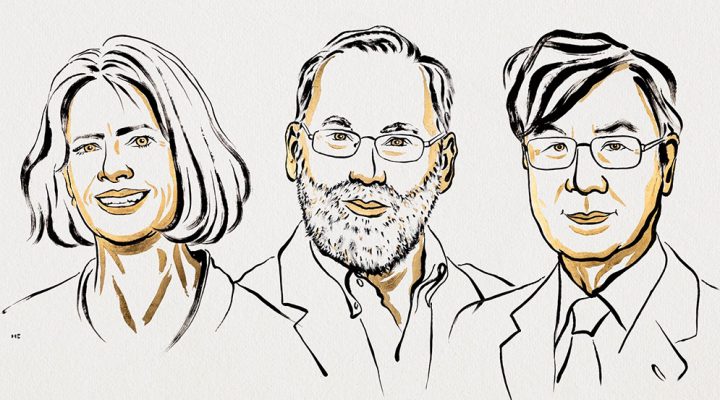 Reciben Nobel de Medicina por tolerancia inmune periférica