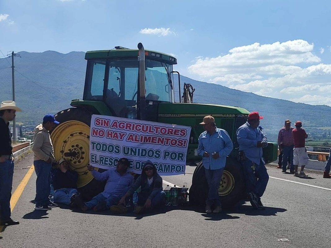 Fotografía: Amigo Bajío Noticias