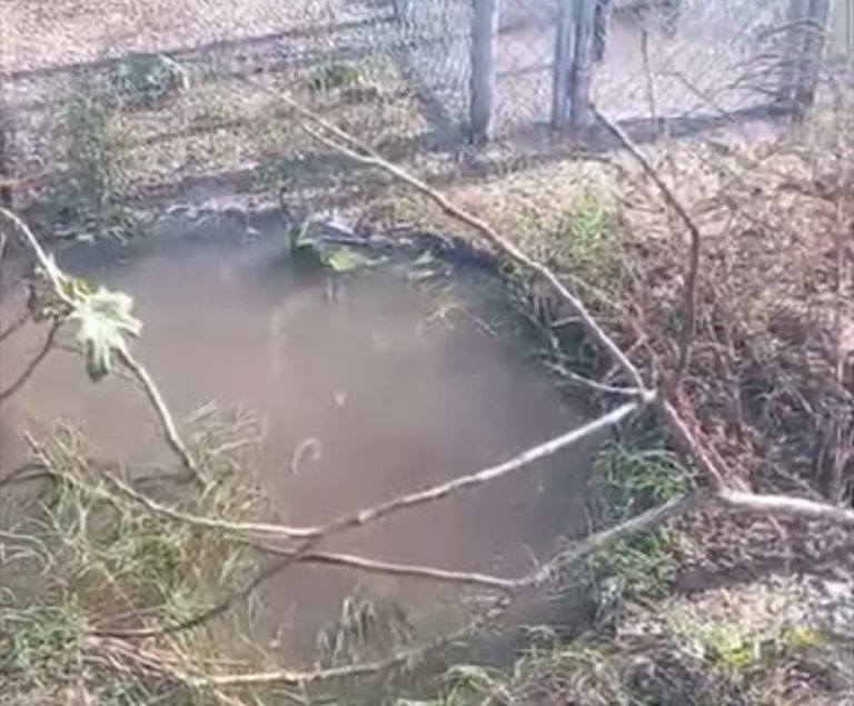 Trabajan por fuga de agua en Bachimeto, Navolato