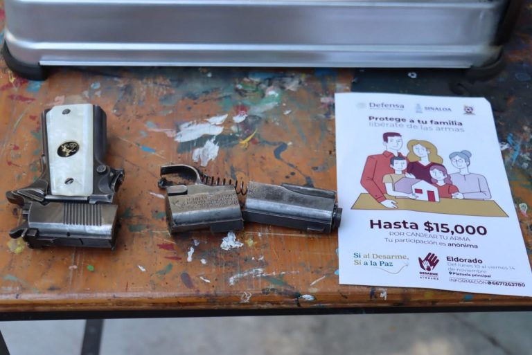 ¡Por primera vez, el Desarme Voluntario llega a Eldorado!