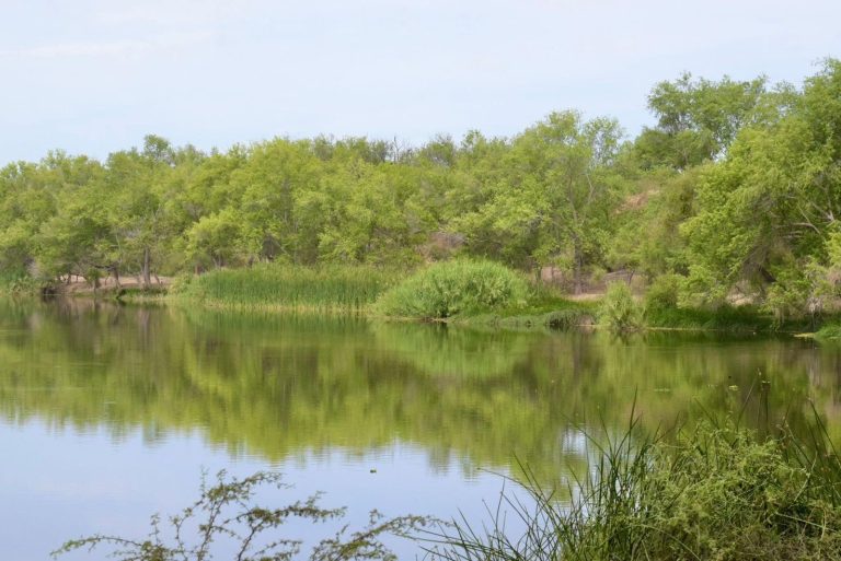 Tendrá Sanalona ‘Rifa del Salado’ en torneo de pesca