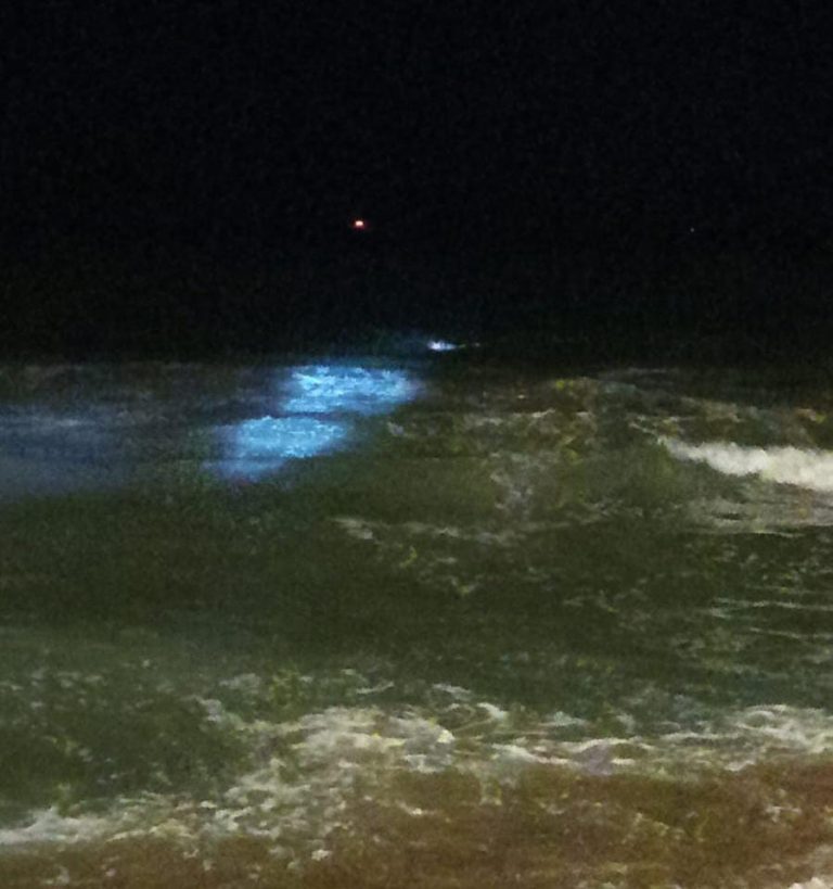 A salvo a bañista que ingresó al mar fuera de horario permitido