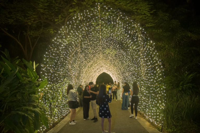 Visitan el Botánico más de 10 mil en apenas una semana