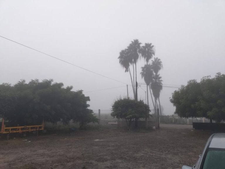 Prevén neblina y aumento del frío para Sinaloa