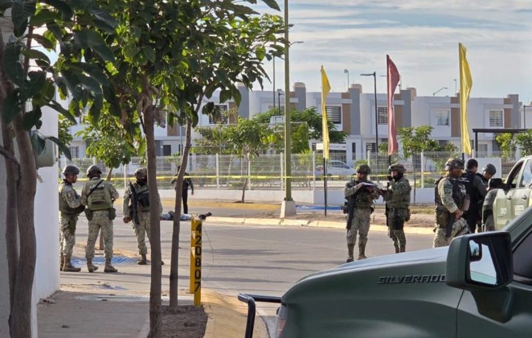 Lo encuentran envuelto en plástico en Granada