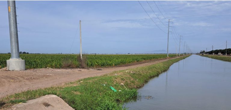 La hallan muerta en Villa Juárez, Navolato