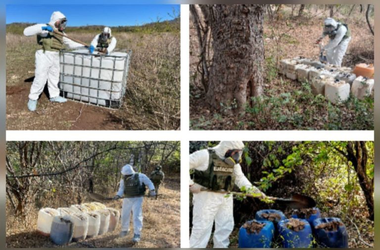 Decomisan 7 laboratorios clandestinos en Culiacán