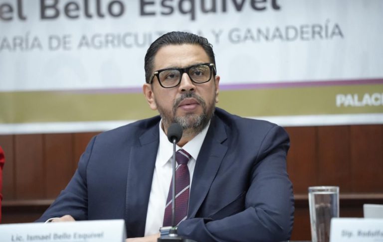 Explica gobierno panorama de agricultura y ganadería en Sinaloa