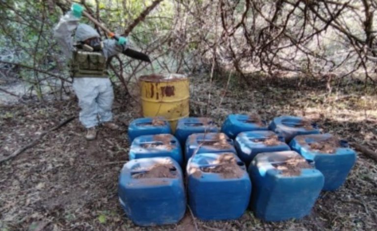 Incautan 2 laboratorios clandestinos y un plantío en Culiacán