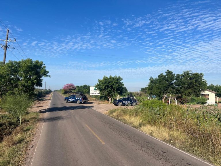 Hallan a 3 asesinados en la carretera Villa Juárez–Las Puentes