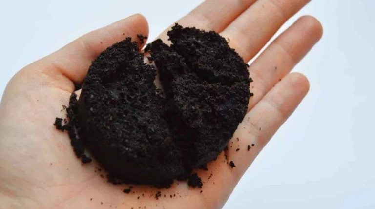 ¡De residuo a superalimento! Proponen al gabazo de café como sustituto del chocolate