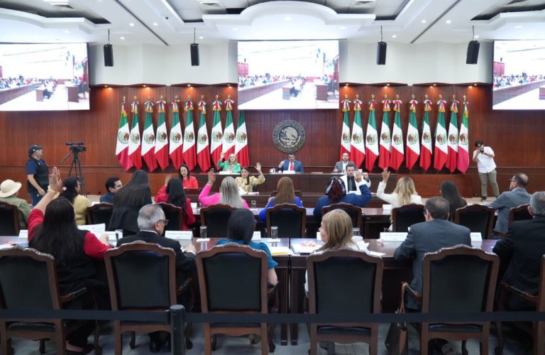 Desde ahora tendrá Sinaloa licencias de conducir permanentes