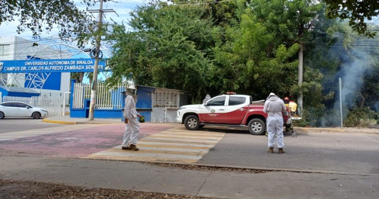 Deja 8 estudiantes heridos ataque de abejas en escuela de Medicina de la UAS