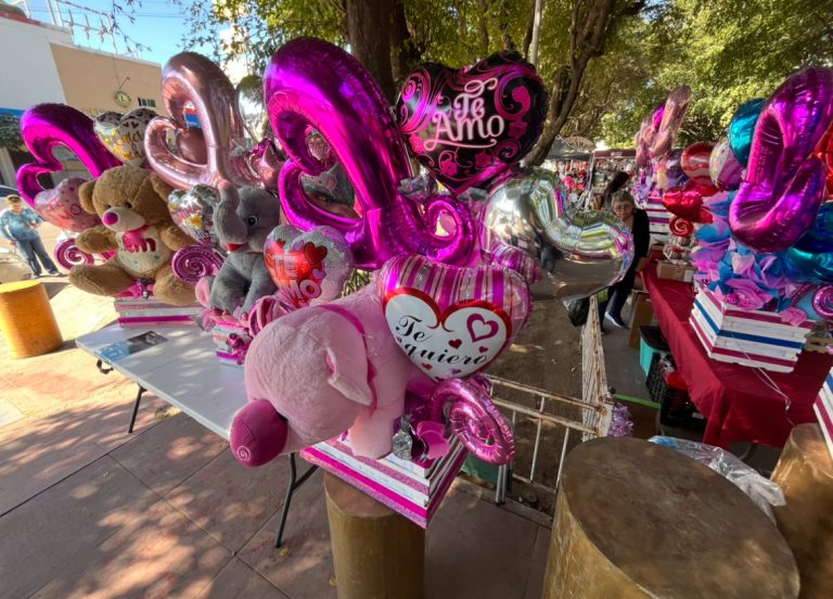 Vive Navolato su Feria del Amor con 9 mil productos en el corazón de la ciudad