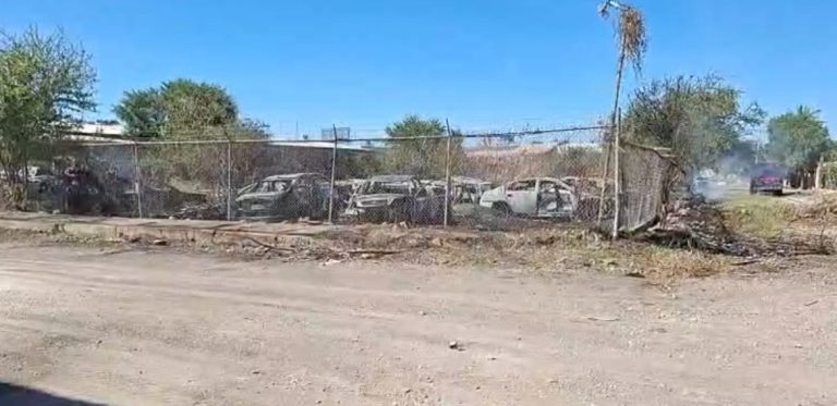 Consume incendio 20 autos en yonke