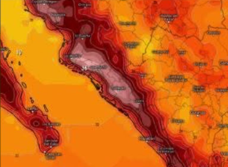 Calor en invierno; temperaturas máximas de 35°C a 40°C