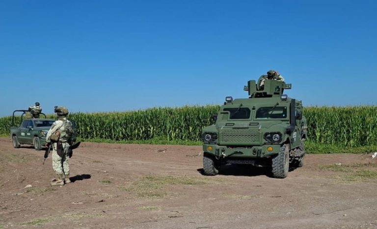 Lo encuentran muerto en zona de cultivo de Villa Juárez, Navolato
