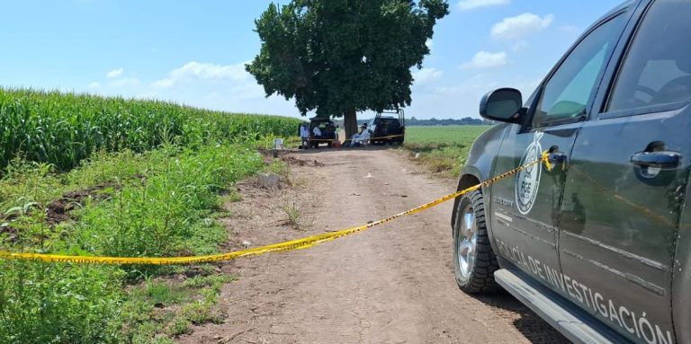 ¡Dio positivo! La osamenta hallada en fosa de Villa Juárez, Navolato