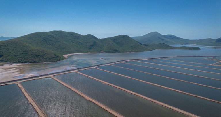 Publican acuerdo para permisos de siembra en acuícolas