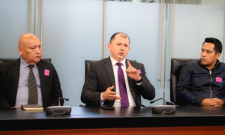 Exigen partidos locales en el Senado representatividad real