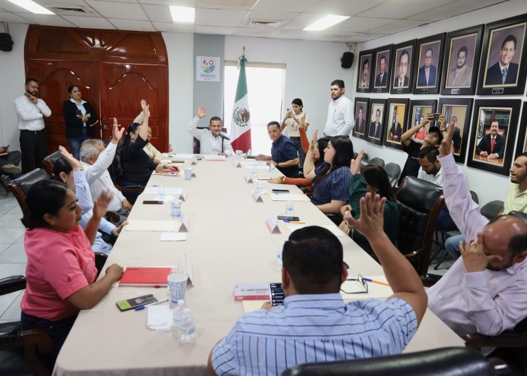 Valida  Navolato resultados del plebiscito de síndicos