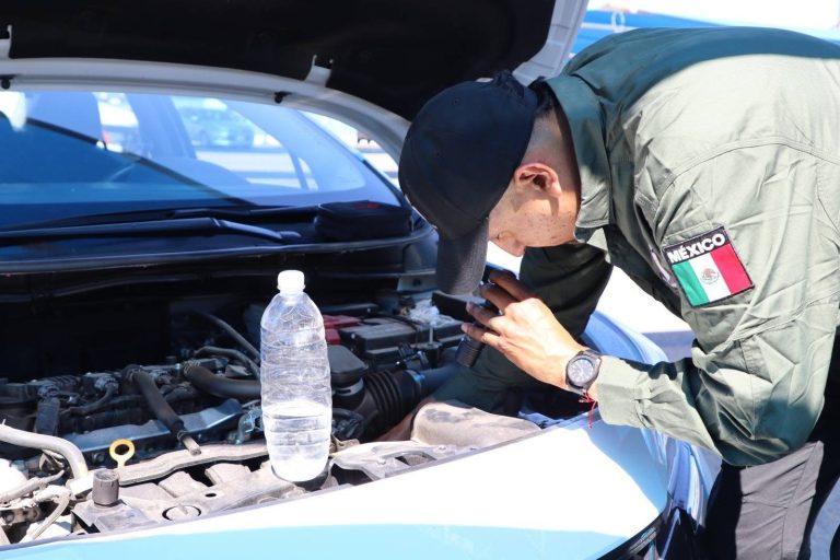 Recupera Sinaloa 800 autos robados en 3 meses