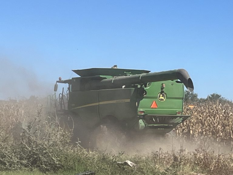 Atribuyen a alta radiación solar baja en producción de maíz