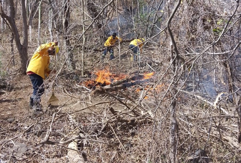Controlan dos incendios forestales en Cosalá
