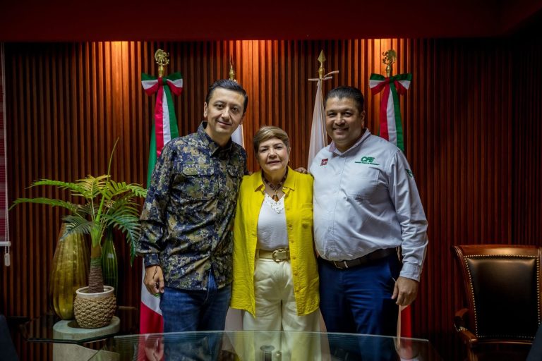 Reitera Guasave a CFE exigencia de revisión a tarifas por altos cobros