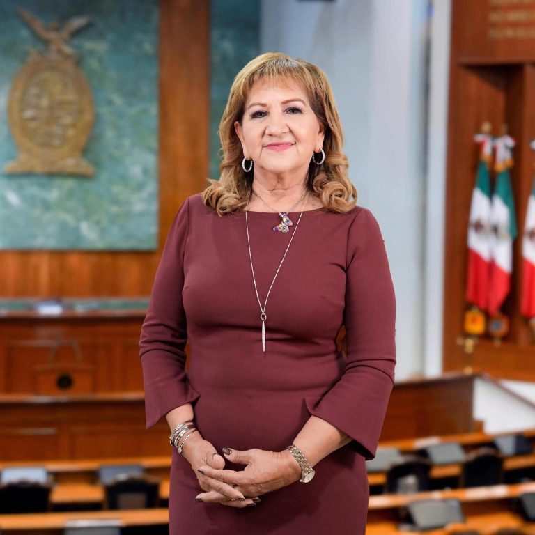 Dejan Tere Guerra y Graciela Domínguez diputaciones