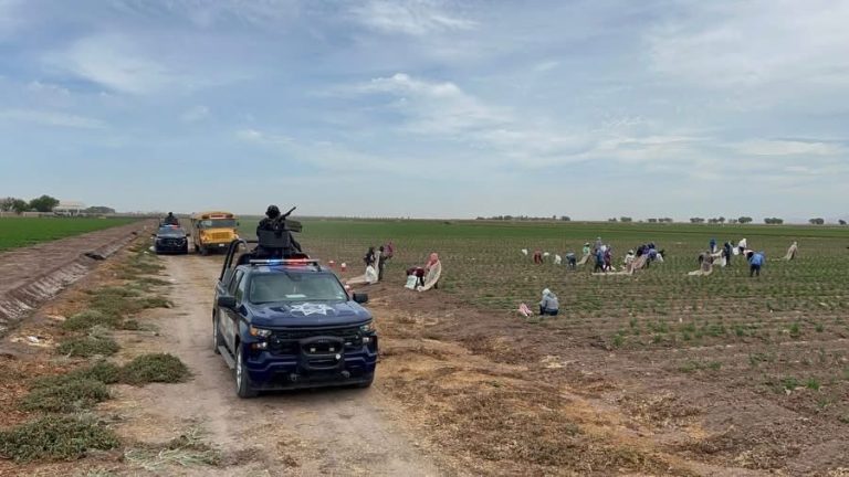 Inicia en agosto retorno seguro para ciclo agrícola en el Valle de Culiacán