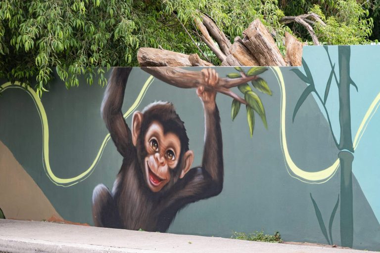 Luce Zoo Culiacán ‘Sueños de Explorador’