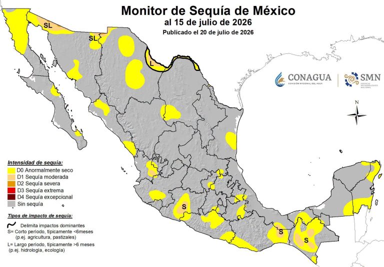 Sale de sequía la mitad de estado