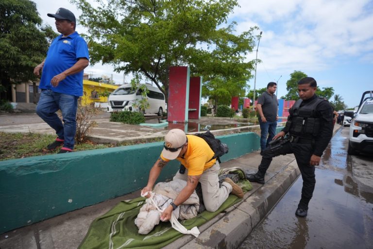 Capturan cocodrilo de 2 metros en una avenida de Mazatlán