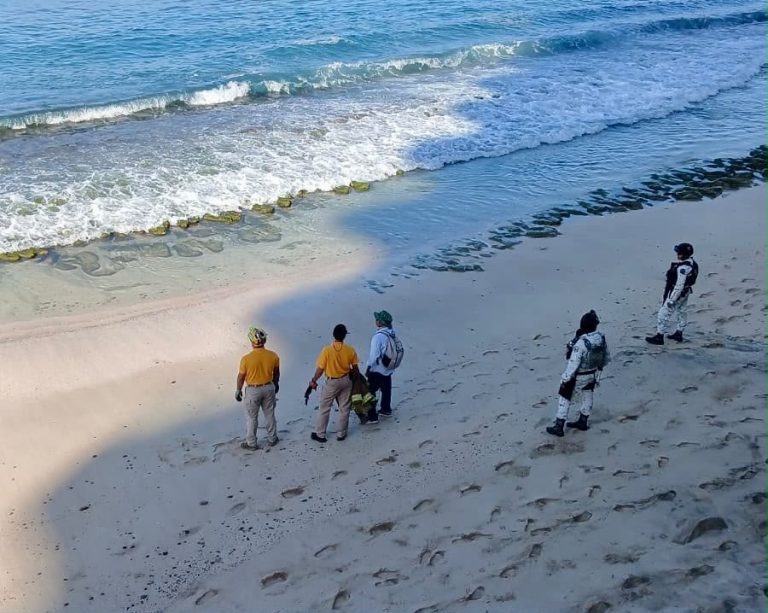 Abre Mazatlán playas; descartan presencia de cocodrilo