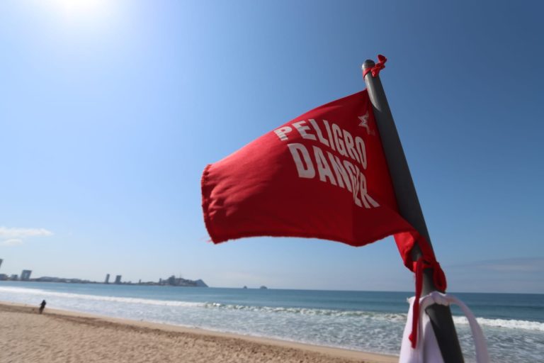 Alerta en playas de Mazatlán por otro cocodrilo