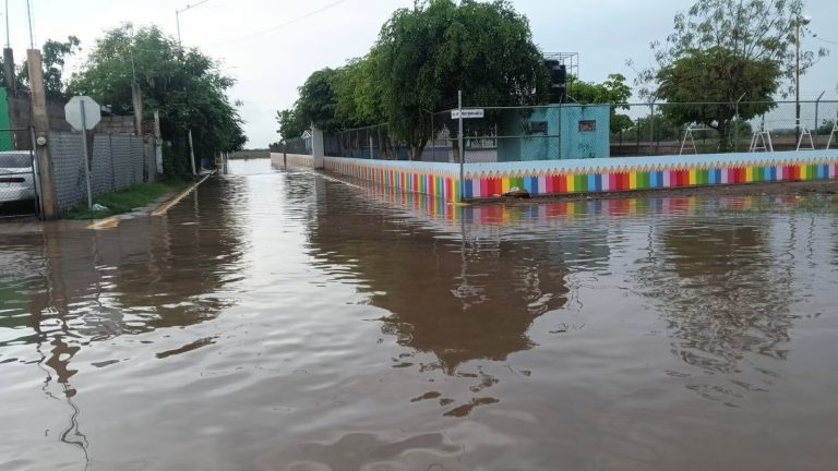Reporta Navolato inundada la 5 de Febrero, árboles caídos y cierre de carretera