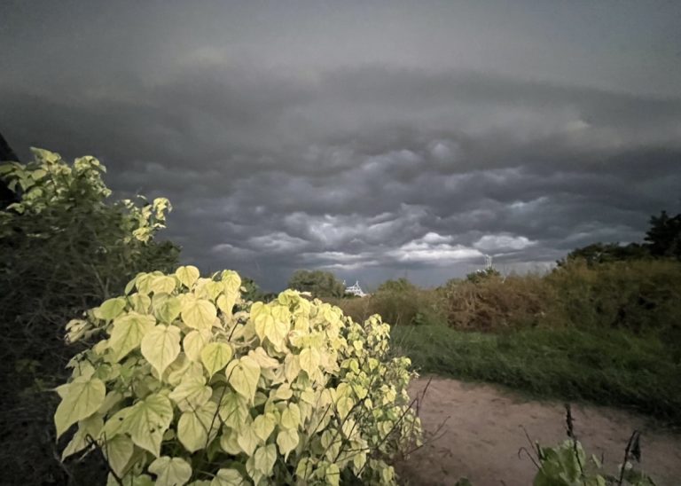 Se registran lluvias en Sinaloa